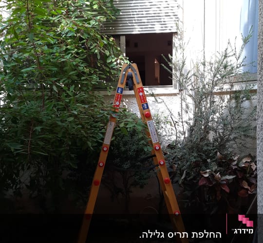 תריסים פתוחים למחצה ליד חלון עם סולם צהוב